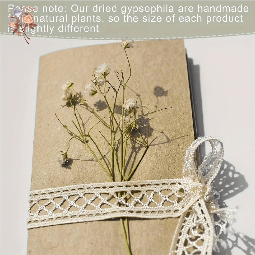 100pcs Mini Dried Baby's Breat - Dried Flower Bulk のレビューと価格